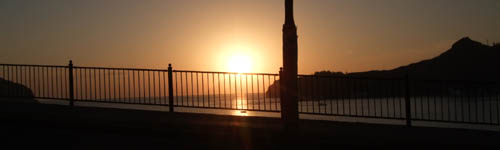 �񌩘p�̗[��