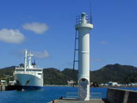 �񌩍`�h�g�瓔��