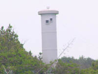 ���`�w����