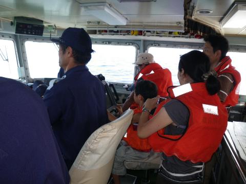 �D���̗l�q