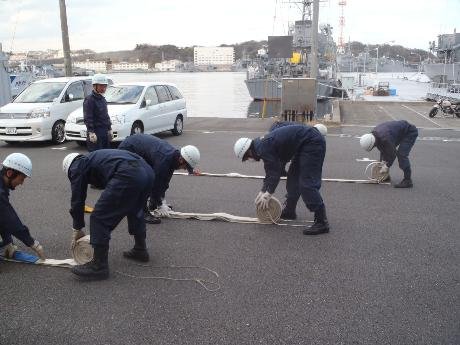 ���h�z�[�X�n���h�����O�P���P