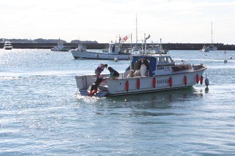 �M�ҋ~���P��