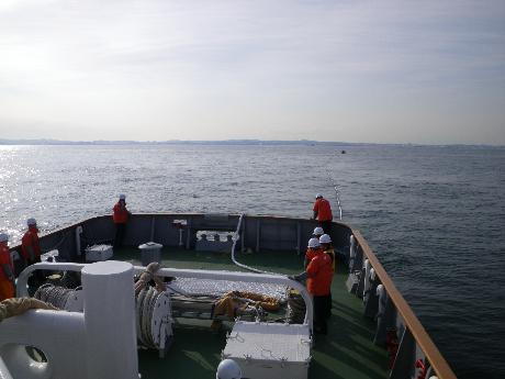 �g�q�����Q