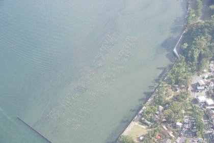 ���q���ӂ̒�u��