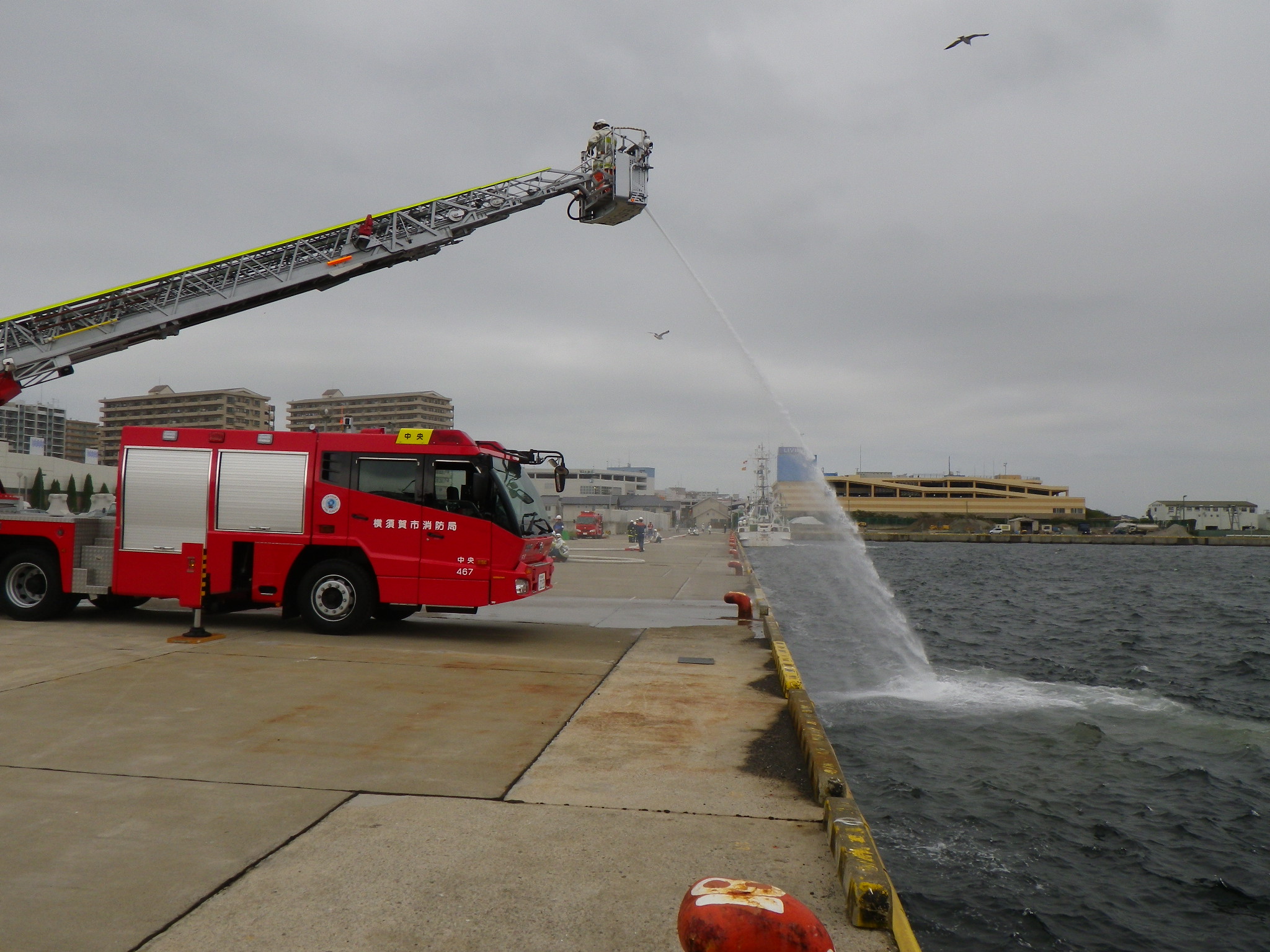 �͂����Ԃ���̕���