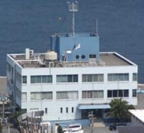 �`�p��������