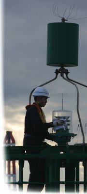 �����W�̓_���E����