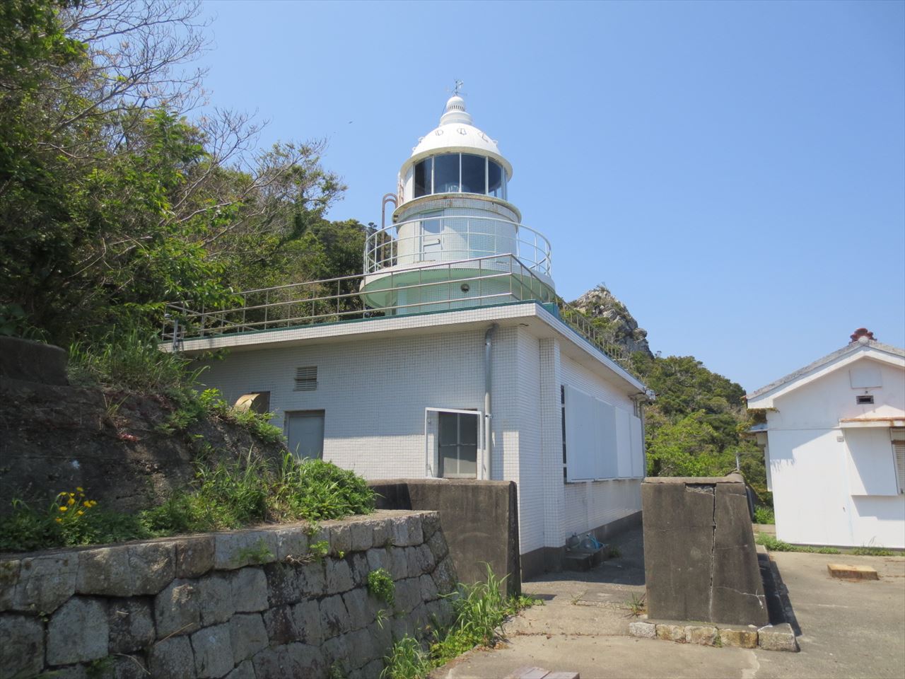 �_������̎ʐ^