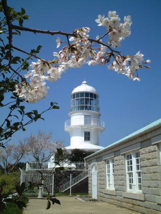 ���˖�����̎ʐ^