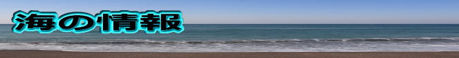 海の情報