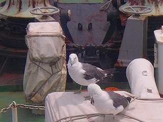 �����߂̃A�b�v�̎ʐ^