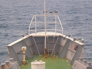 �D�ŋx�����Ƃ邩���߂̎ʐ^