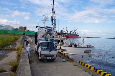 �����D�����ɂ�鋋���x���̗l�q