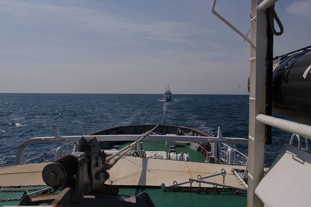 ����D���g�q���Ă���l�q