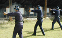 ���e�ˌ��P��