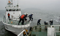 �e�^�D�ւ̈ڏ�P��