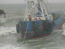 �D���̉g�q�~��