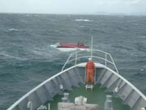 �r�V�ł̋~�����