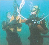 �����~���P��