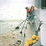 ������������Ƃ̗l�q