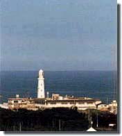 ���i�蓔��