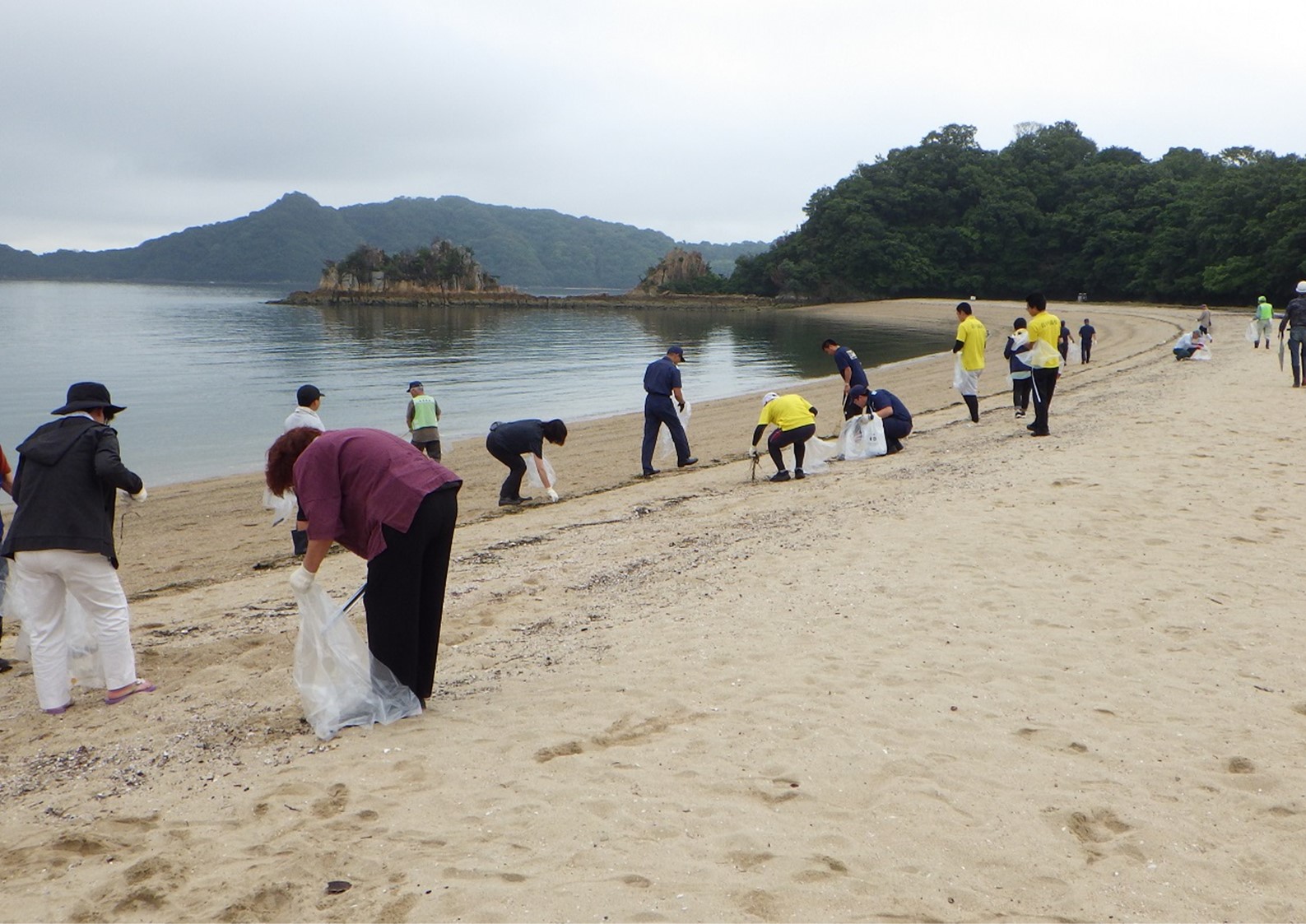 海浜清掃作業の模様