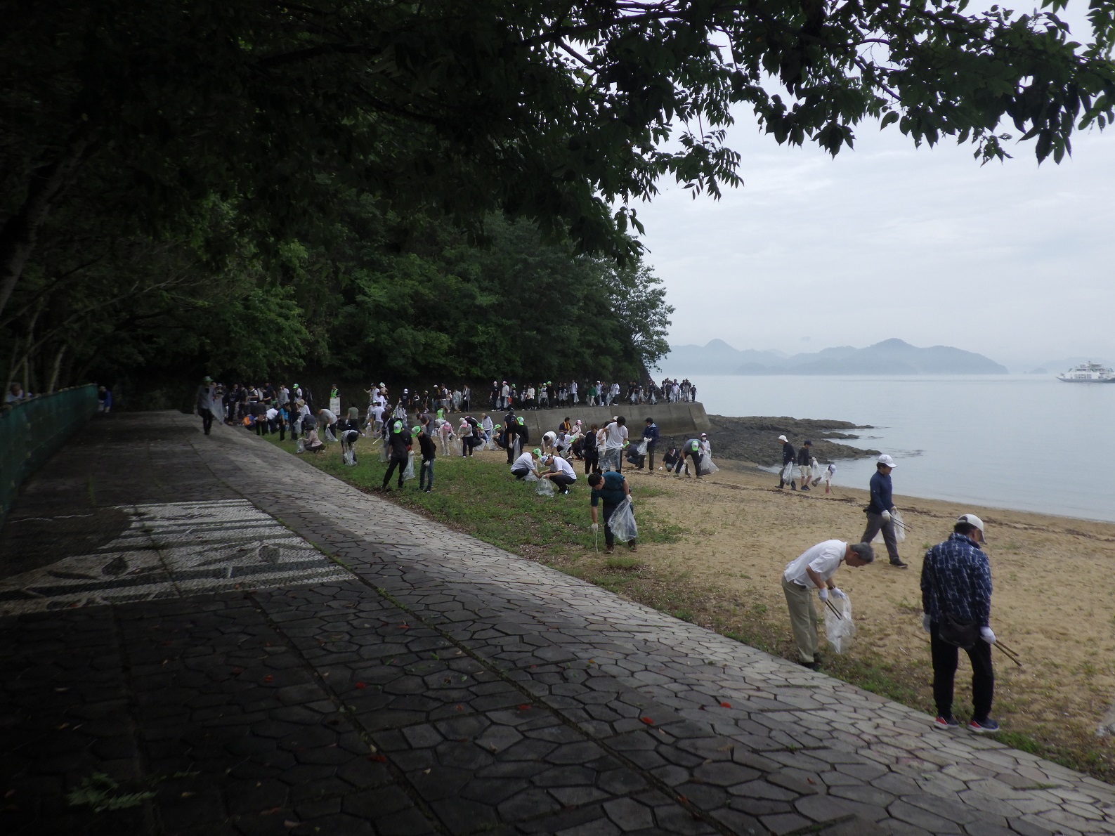 海岸周辺の清掃活動の模様
