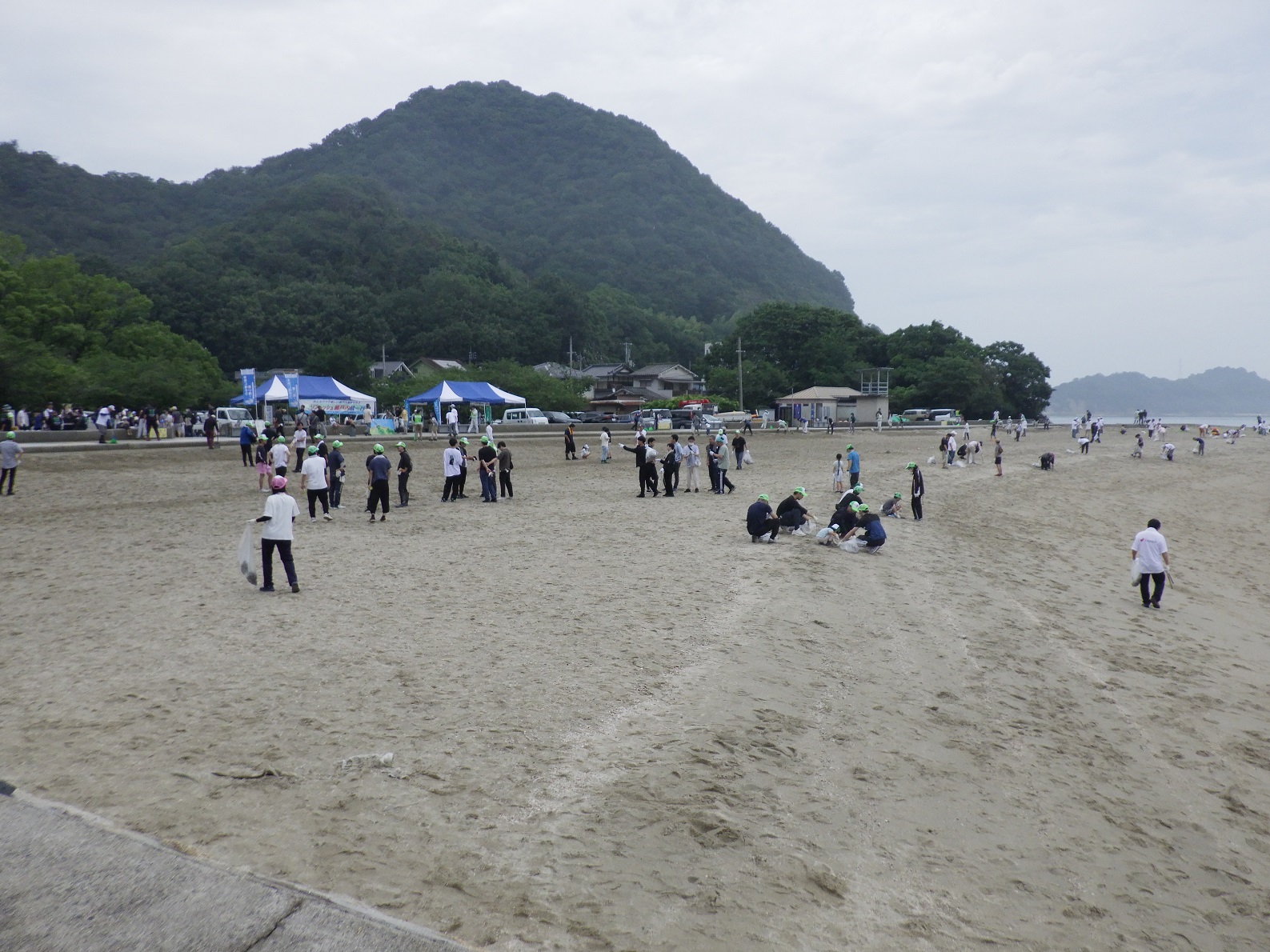 砂浜での清掃活動の模様