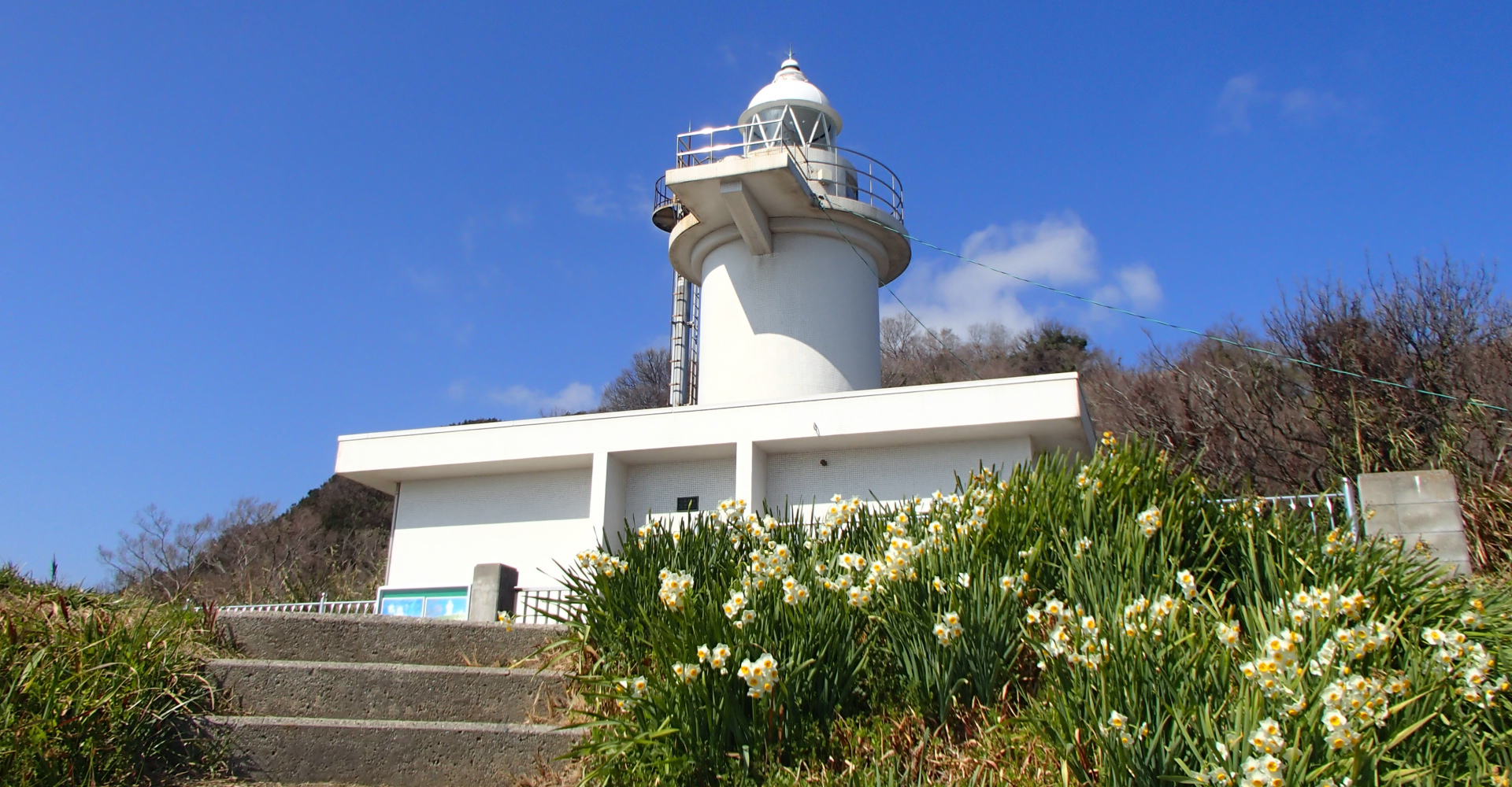 六島灯台と水仙