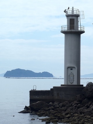 ���o�@����摜