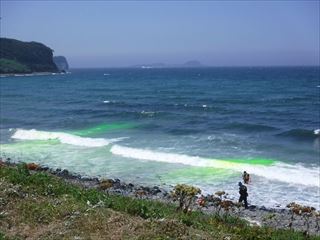 ���ݗ����� 