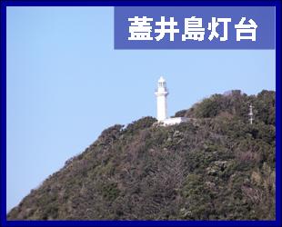 �W�䓇����