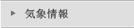 �C�ۏ��