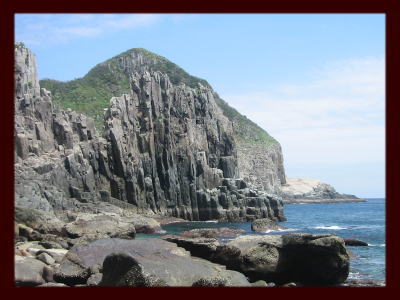 �����̊�̎ʐ^