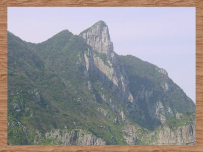 ����R�̎ʐ^