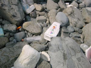 �Y���S�~�̎ʐ^