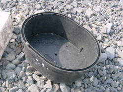 �Y���S�~�̎ʐ^