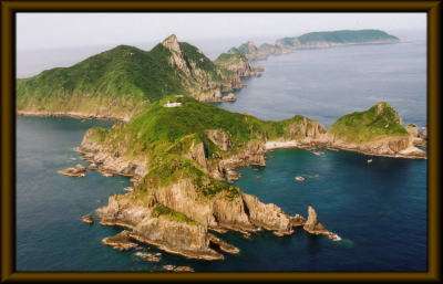 �j���Q���̎ʐ^