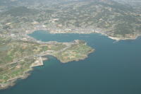 ���V�Í`�q��ʐ^