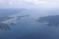 �����`�q��ʐ^