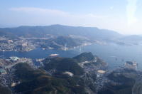 ����`�q��ʐ^