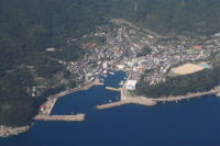 �ޗǔ��`�q��ʐ^