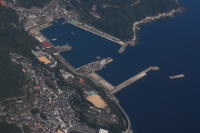 �ޗǔ��`�q��ʐ^