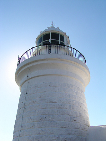 �P������������猩�グ���摜