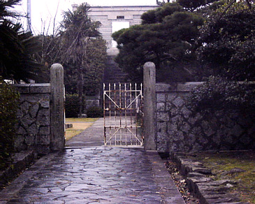 �P�����䐳��̉摜