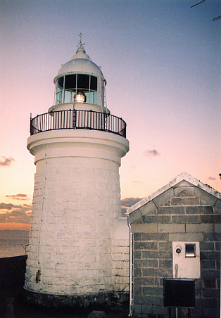 ���Ă��̕P������摜