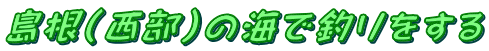 島根（西部）の海で釣りをする
