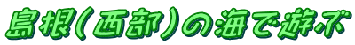 島根（西部）の海で遊ぶ