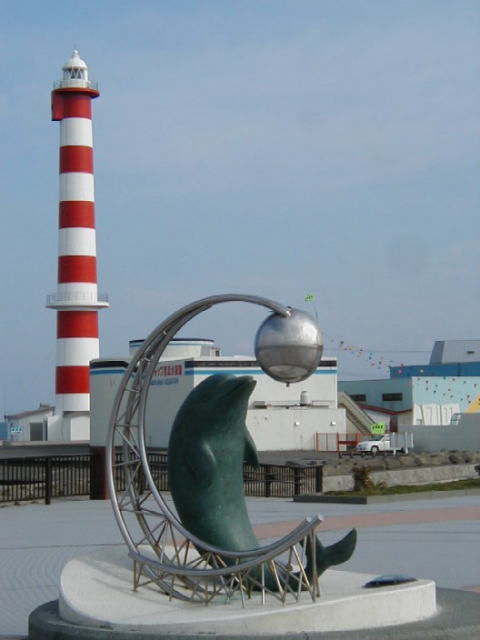 �t������