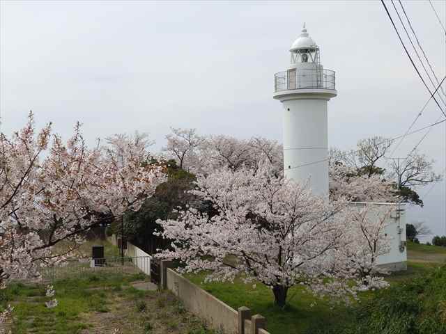 �z�O������ʐ^